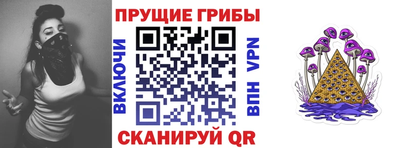 Псилоцибиновые грибы мицелий  Купить закладки  Могоча 