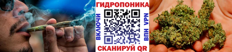 Купить где  Могоча  Каннабис Bruce Banner 